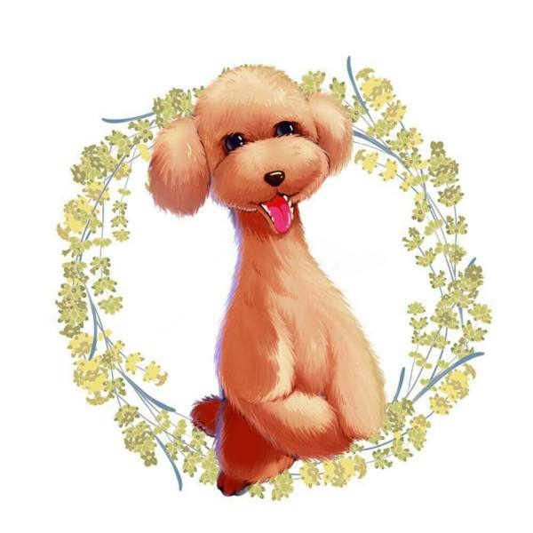 茶杯狗狗吧:小型宠物的温馨护理日记